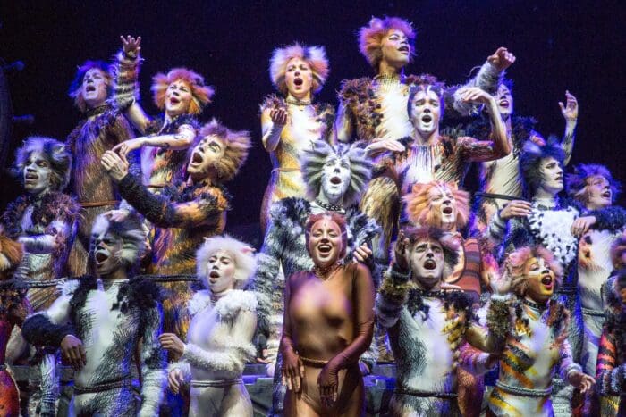 Cats On Broadway A Return To The Jellicle Ball My Theatre My Entertainment World